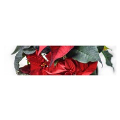 Star Of Bethlehem Star Red Oblong Satin Scarf (16  X 60 ) by Amaryn4rt