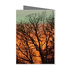 Twilight Sunset Sky Evening Clouds Mini Greeting Cards (pkg Of 8) by Amaryn4rt