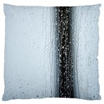 Rain Raindrop Drop Of Water Drip Standard Premium Plush Fleece Cushion Case (Two Sides) Back