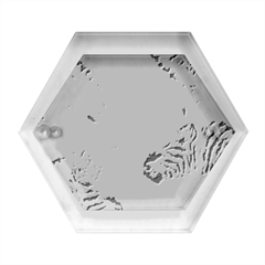 Zebra Colorful Abstract Collage Hexagon Wood Jewelry Box