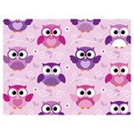 Seamless Cute Colourfull Owl Kids Pattern Two Sides Premium Plush Fleece Blanket (Extra Small) 40 x30  Blanket Front