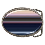 Horizontal Line Strokes Color Lines Belt Buckles Front