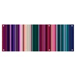 Vertical Line Color Lines Texture Banner and Sign 8  x 3  Front