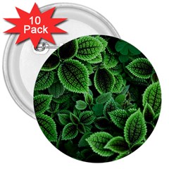 Shanghai Botanical Garden 3  Buttons (10 Pack)  by Pakjumat