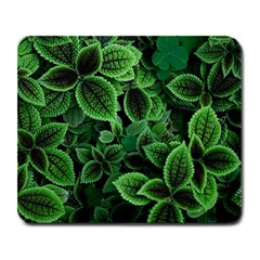 Shanghai Botanical Garden Large Mousepad by Pakjumat