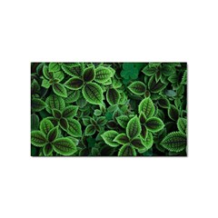 Shanghai Botanical Garden Sticker Rectangular (100 Pack) by Pakjumat