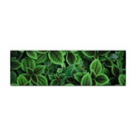 Shanghai Botanical Garden Sticker Bumper (100 pack) Front