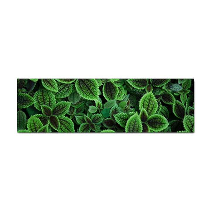 Shanghai Botanical Garden Sticker Bumper (100 pack)