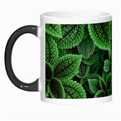 Shanghai Botanical Garden Morph Mug by Pakjumat