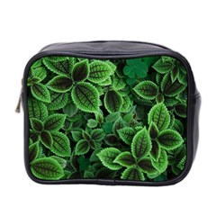 Shanghai Botanical Garden Mini Toiletries Bag (two Sides) by Pakjumat