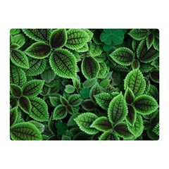 Shanghai Botanical Garden Two Sides Premium Plush Fleece Blanket (mini) by Pakjumat