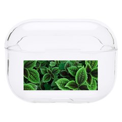 Shanghai Botanical Garden Hard Pc Airpods Pro Case by Pakjumat