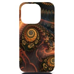 Paisley Abstract Fabric Pattern Floral Art Design Flower Iphone 14 Pro Black Uv Print Case by Pakjumat