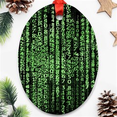 Matrix Technology Tech Data Digital Network Oval Ornament (two Sides) by Pakjumat