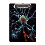 Organism Neon Science A5 Acrylic Clipboard Front