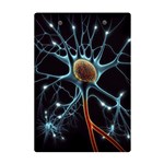 Organism Neon Science A5 Acrylic Clipboard Back