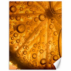 Lime Water Bubbles Macro Light Detail Background Canvas 12  X 16  by Pakjumat