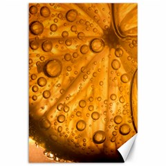 Lime Water Bubbles Macro Light Detail Background Canvas 12  X 18  by Pakjumat