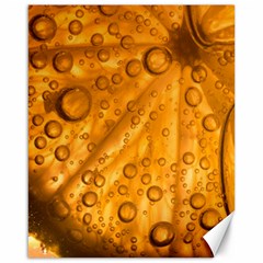 Lime Water Bubbles Macro Light Detail Background Canvas 16  X 20 