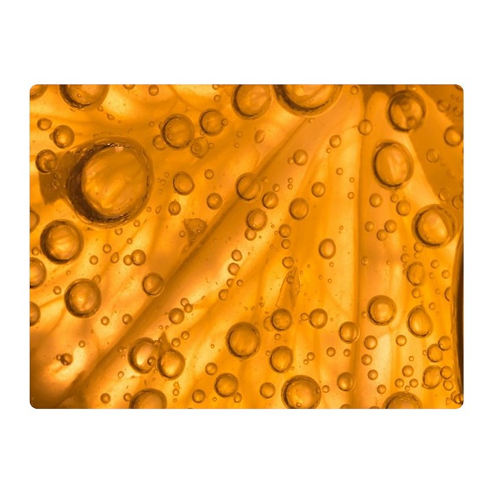 Lime Water Bubbles Macro Light Detail Background Two Sides Premium Plush Fleece Blanket (Mini)