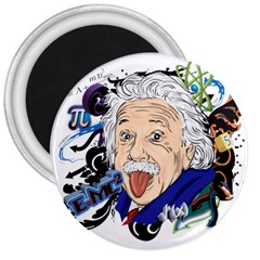 Albert Einstein Physicist 3  Magnets