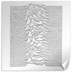 Joy Division Unknown Pleasures Canvas 16  X 16 