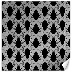 Pattern Beetle Insect Black Grey Canvas 16  X 16 