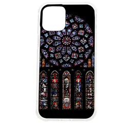 Rosette Cathedral iPhone 12 Pro max TPU UV Print Case