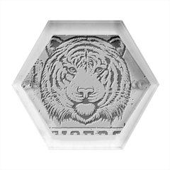 1813 River City Tigers Athletic Department Hexagon Wood Jewelry Box by Sarkoni