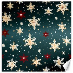 Snowflakes Winter Snow Canvas 20  X 20 