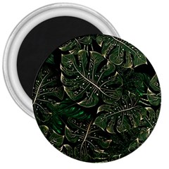 Monstera Plant Tropical Jungle 3  Magnets by Ravend