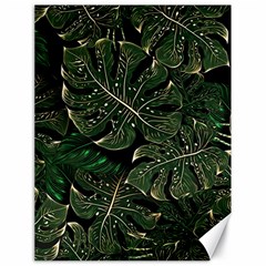 Monstera Plant Tropical Jungle Canvas 18  X 24 