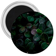 Dark Nature , Nature, Edeg 3  Magnets by nateshop