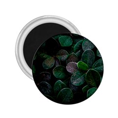 Dark Nature , Nature, Edeg 2 25  Magnets by nateshop