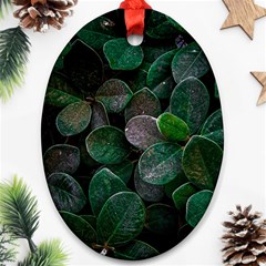 Dark Nature , Nature, Edeg Ornament (oval) by nateshop