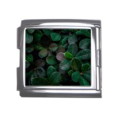 Dark Nature , Nature, Edeg Mega Link Italian Charm (18mm) by nateshop