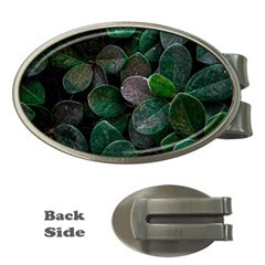 Dark Nature , Nature, Edeg Money Clips (oval)  by nateshop