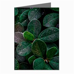 Dark Nature , Nature, Edeg Greeting Cards (pkg Of 8) by nateshop