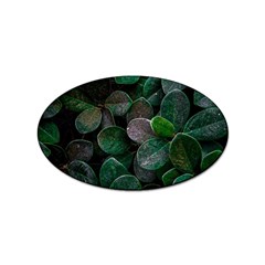 Dark Nature , Nature, Edeg Sticker Oval (100 Pack) by nateshop