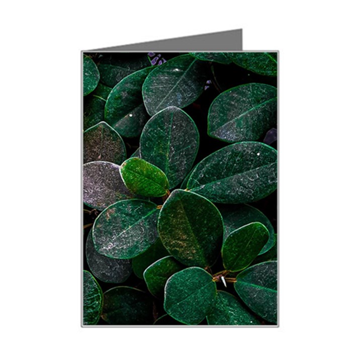 Dark Nature , Nature, Edeg Mini Greeting Card