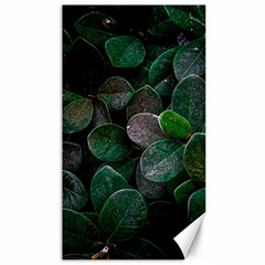 Dark Nature , Nature, Edeg Canvas 40  X 72  by nateshop