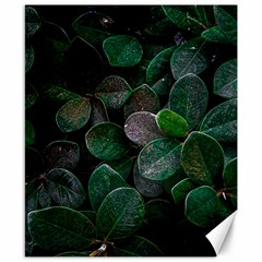 Dark Nature , Nature, Edeg Canvas 8  X 10  by nateshop