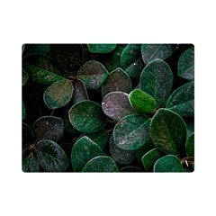 Dark Nature , Nature, Edeg Premium Plush Fleece Blanket (mini)