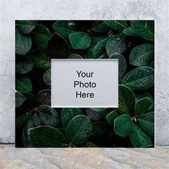 Dark Nature , Nature, Edeg White Wall Photo Frame 5  X 7  by nateshop