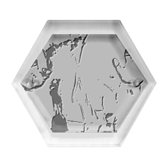 Han Solo In Carbonite Hexagon Wood Jewelry Box