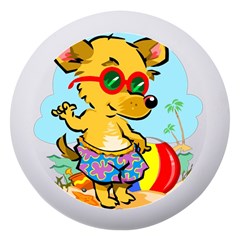 Beach Chihuahua Dog Pet Animal Dento Box With Mirror by Sarkoni