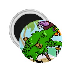 Parrot Hat Cartoon Captain 2 25  Magnets by Sarkoni