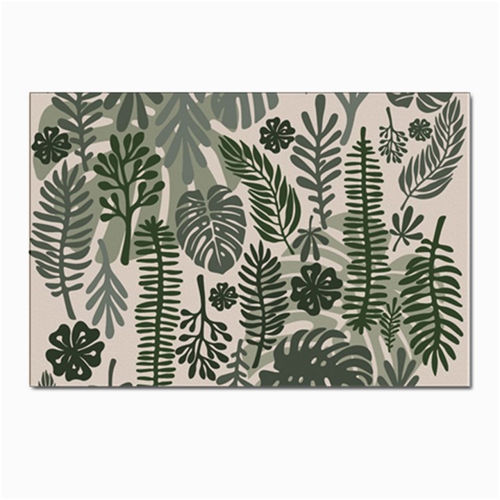 Plants Leaves Boho Botany Foliage Postcard 4 x 6  (Pkg of 10)