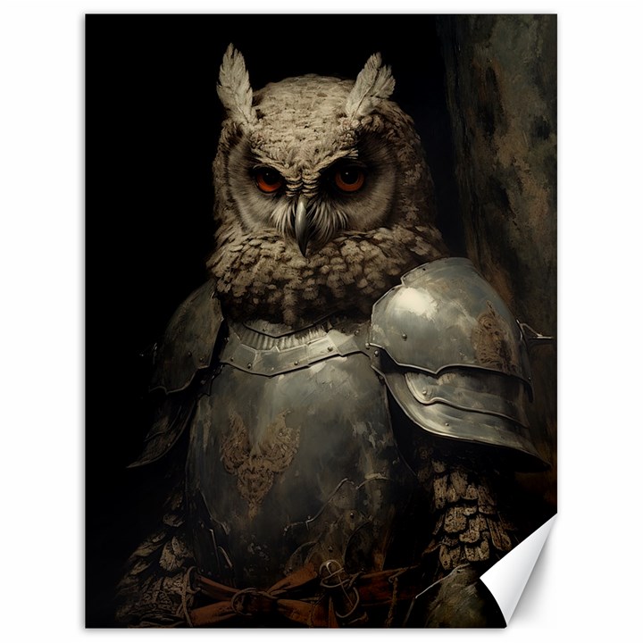 Owl Knight Canvas 18  x 24 