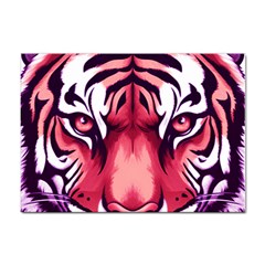 Tiger Design Sticker A4 (10 Pack) by TShirt44